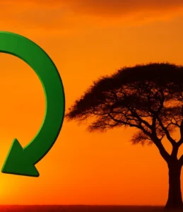 Circle of Life: 5 Fatos Chocantes da Canção de Elton John!