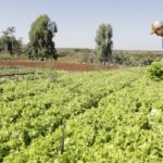 IPP sobe 2,37% em março, diz IBGE; fevereiro cai 0,16%