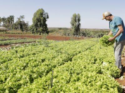 IPP sobe 2,37% em março, diz IBGE; fevereiro cai 0,16%
