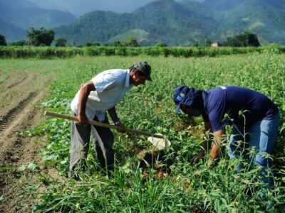 CAE aprova renegociação de dívidas rurais com fundo do pré-sal