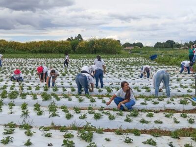 Mulheres no Campo certifica 100 produtoras rurais em Brazlândia