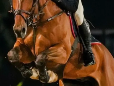 Candangão 2026: hipismo brasiliense reúne elite do salto em Brasília