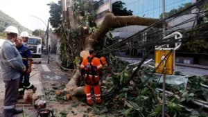 Especialistas defendem rede elétrica mais resiliente contra ventos